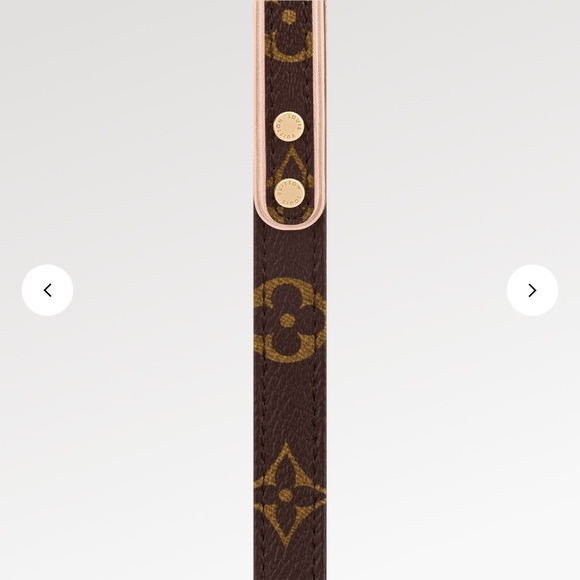 Louis Vuitton | Leash MM - Picture 3 of 4